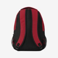 FOCO Iowa State Cyclones Action Backpack 11 FOCO Iowa State Cyclones Action Backpack -FOCO Shop BPNCACTIOS g6