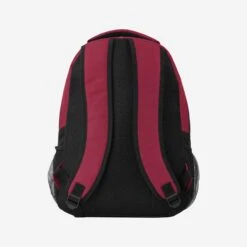 FOCO Arizona Cardinals Property Of Action Backpack -FOCO Shop BPNFPROPACTAC g6