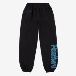 FOCO Carolina Panthers Womens Script Wordmark Team Color Sweatpants 11 FOCO Carolina Panthers Womens Script Wordmark Team Color Sweatpants -FOCO Shop PNTWMNFSWSWTCCP g5