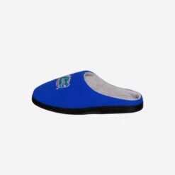 FOCO Florida Gators Memory Foam Slide Slipper 10 FOCO Florida Gators Memory Foam Slide Slipper -FOCO Shop SLPNCMYFMFL g4