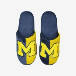 FOCO Michigan Team Logo Staycation Slipper -FOCO Shop SLPNCTLSYCAMI g4