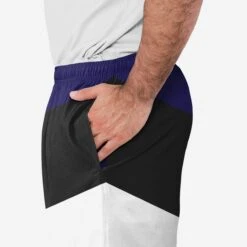 FOCO Baltimore Ravens Colorblock Double Down Liner Training Shorts -FOCO Shop SRTNFCBTRLNBRV g4