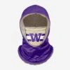 FOCO Washington Huskies Thematic Hooded Gaiter -FOCO Shop SVNCTHHDFCWA p