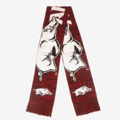 FOCO Arkansas Razorbacks Wordmark Big Logo Colorblend Scarf
